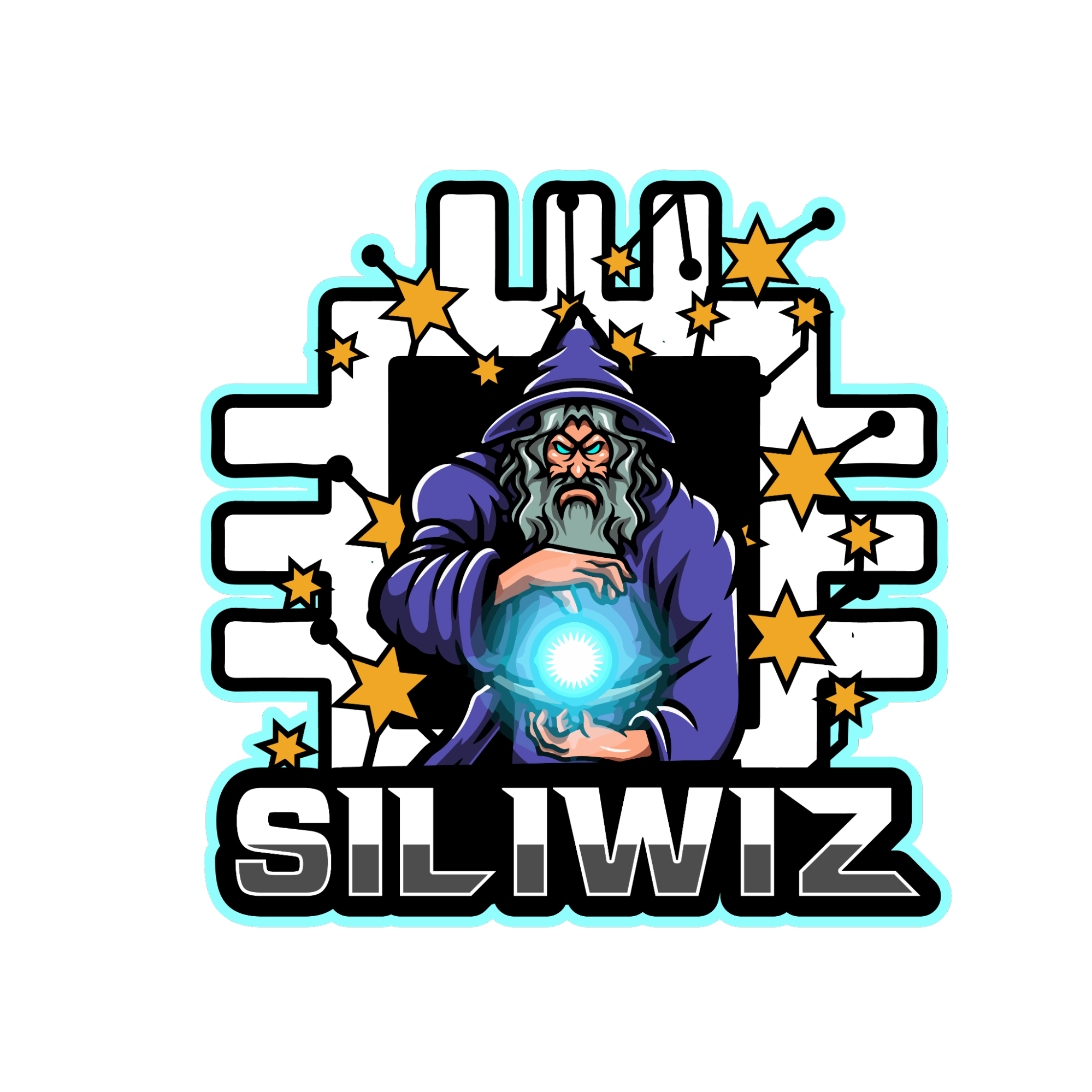 siliwiz